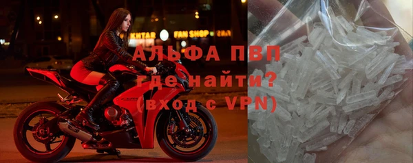 дживик Чита