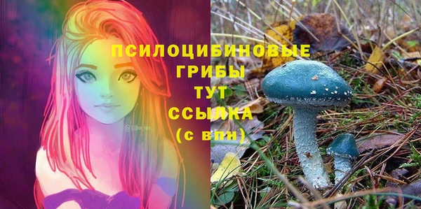 ПСИЛОЦИБИНОВЫЕ ГРИБЫ Армянск