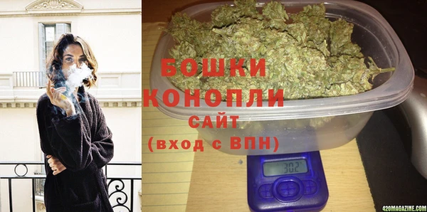 дживик Чита