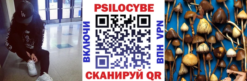 наркота  Вичуга  Псилоцибиновые грибы мухоморы 
