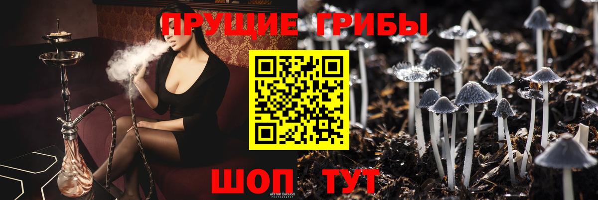 Галлюциногенные грибы GOLDEN TEACHER Вичуга