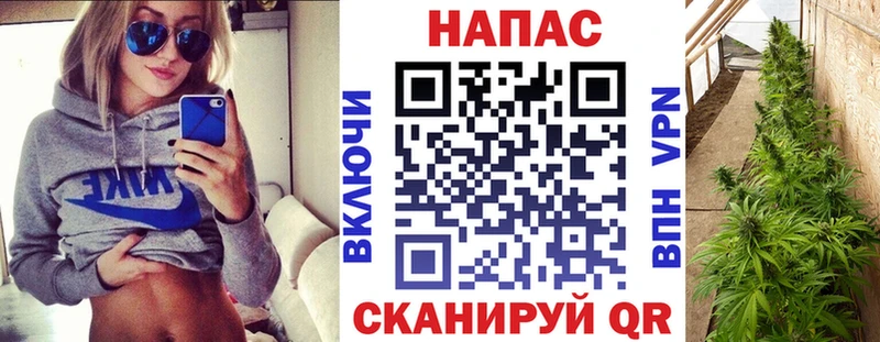 купить   Вичуга  Канабис Amnesia 